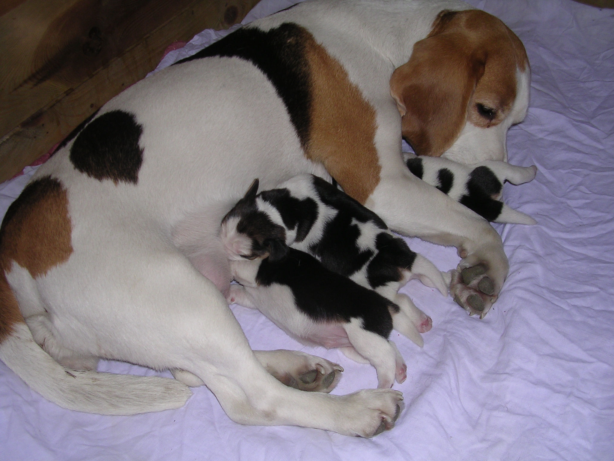 DSCN1415.JPG