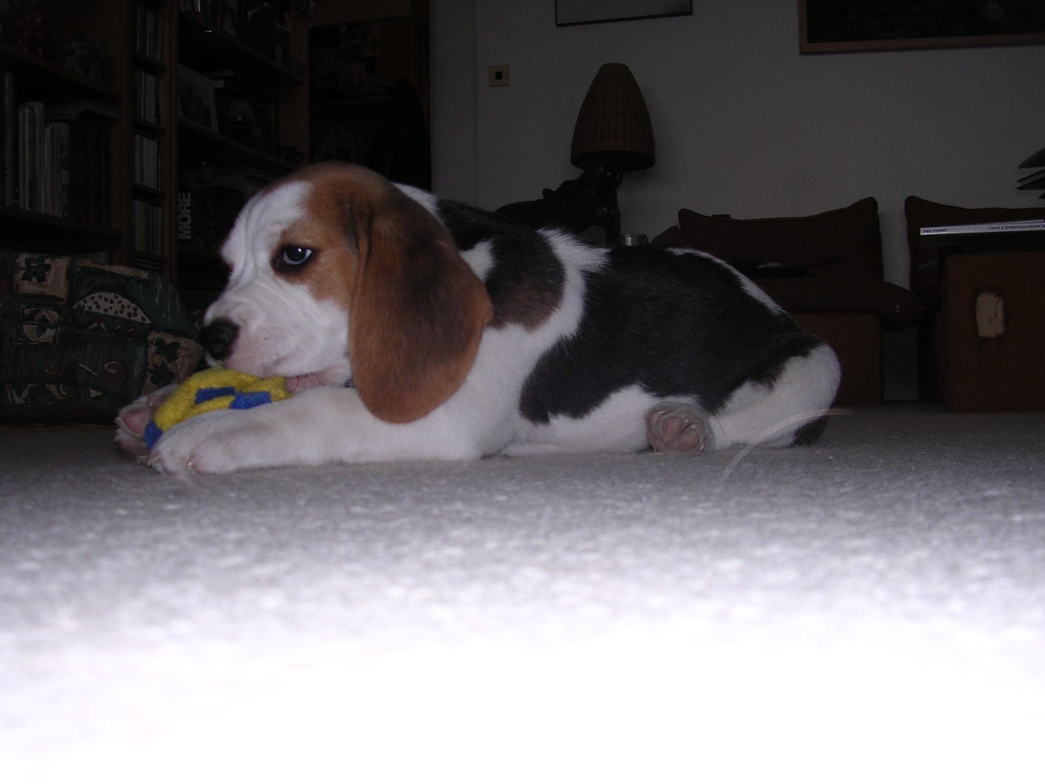 DSCN2931.JPG