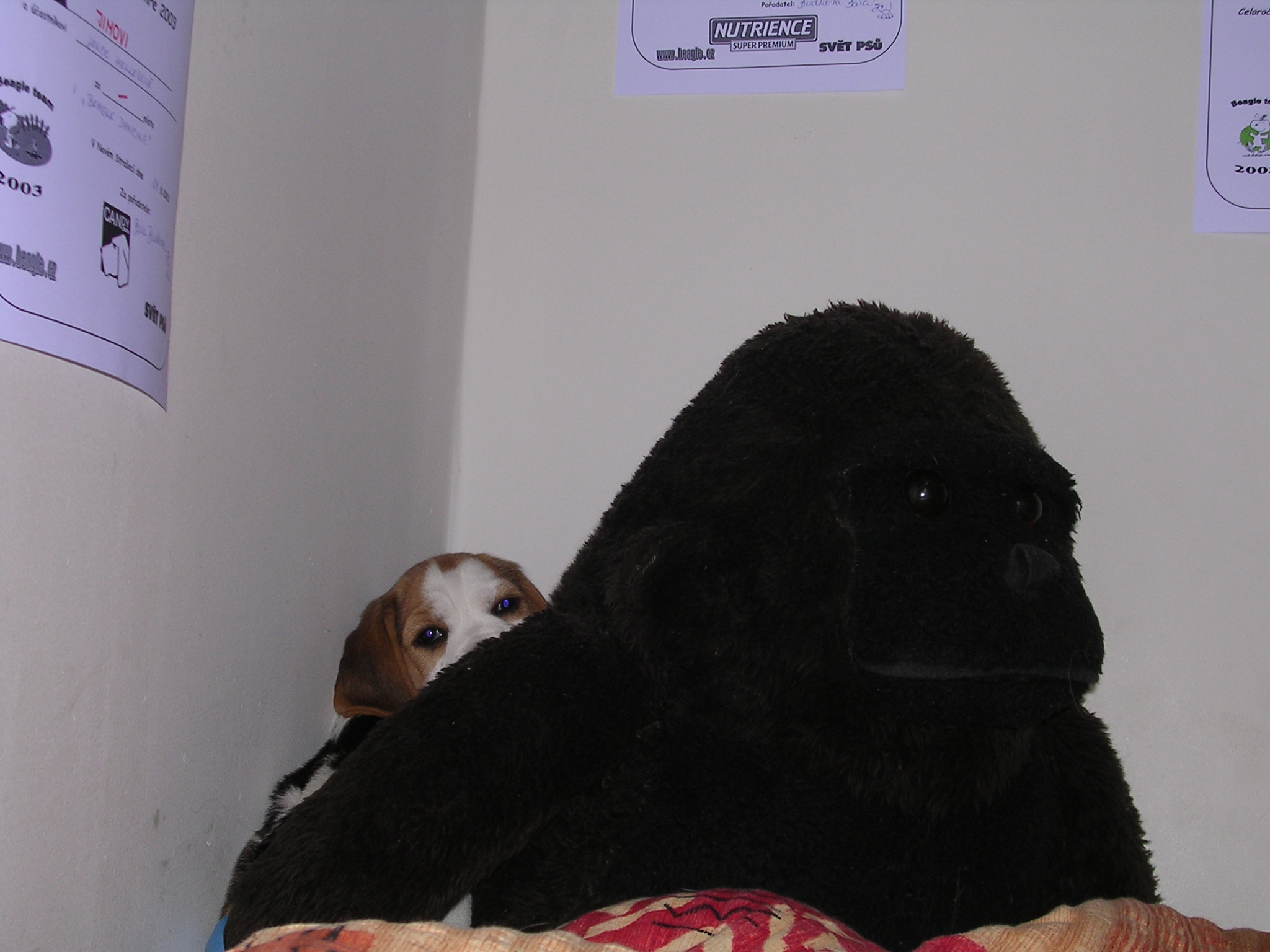 DSCN2963.JPG