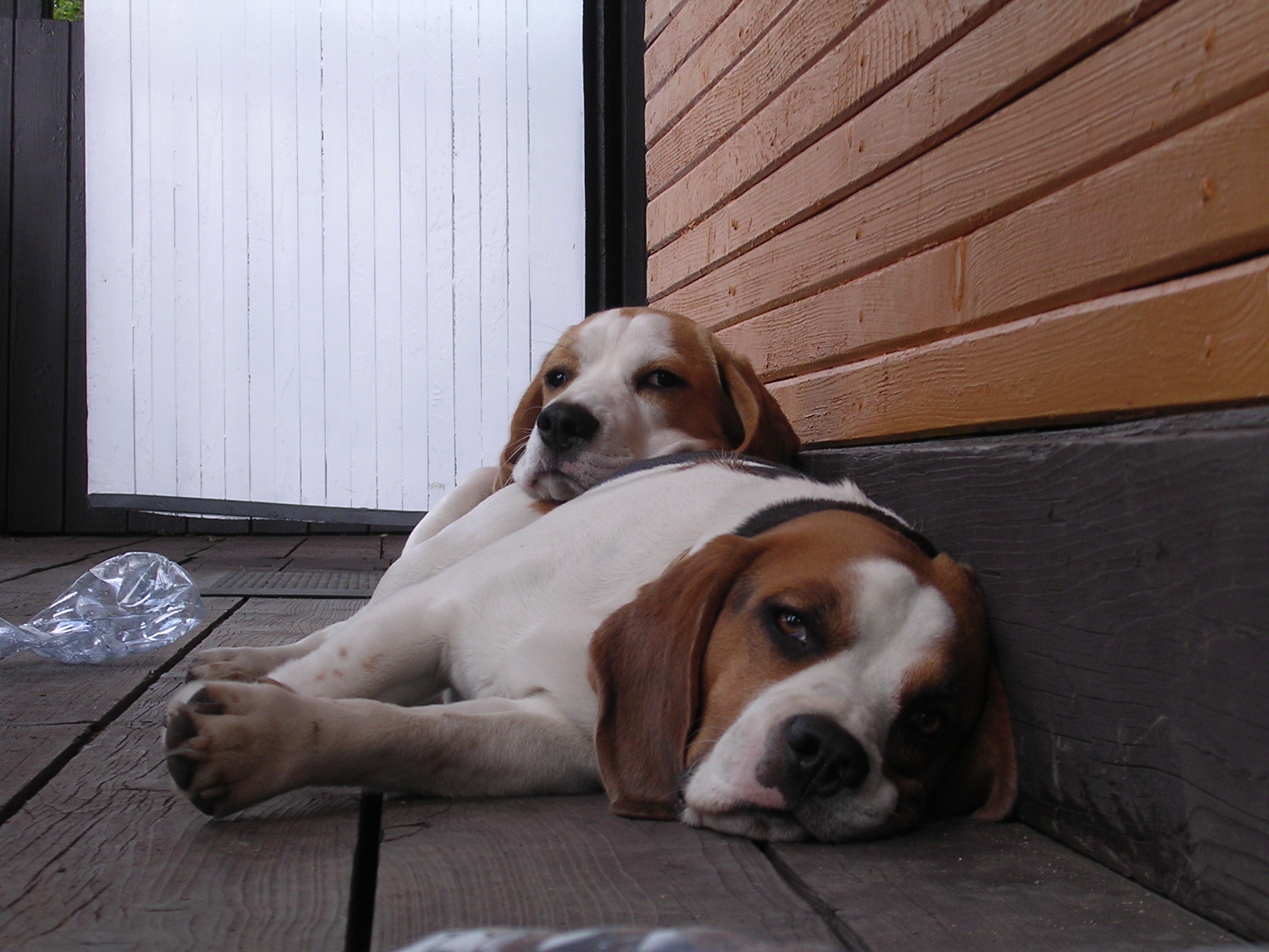 DSCN4872.JPG