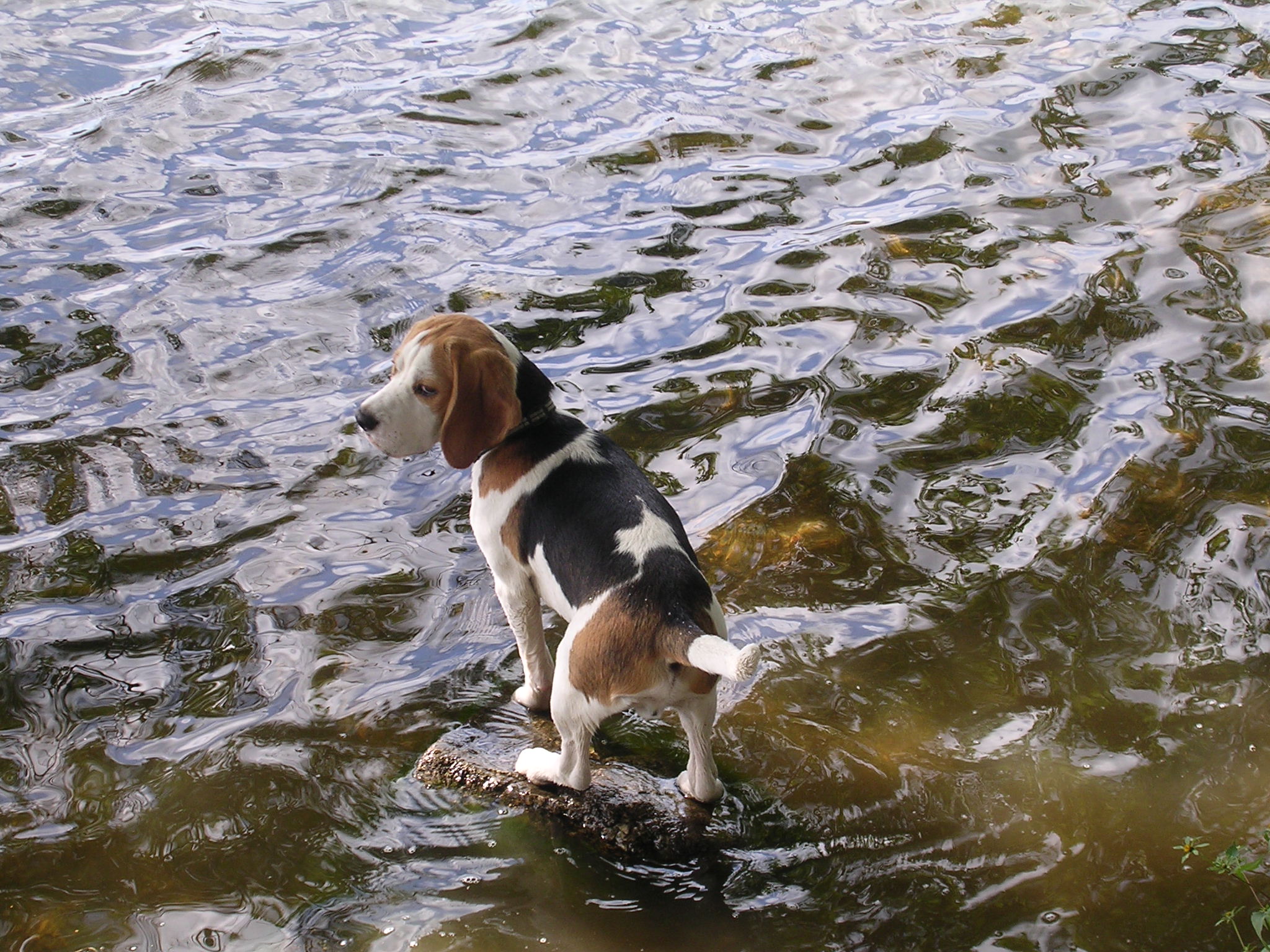 DSCN4884.JPG